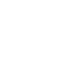 wordpress mobile responsive websites